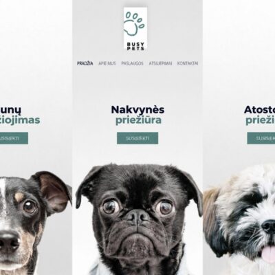 Augintinių svetainės dizainas – lietuviškas dizaino pavyzdys